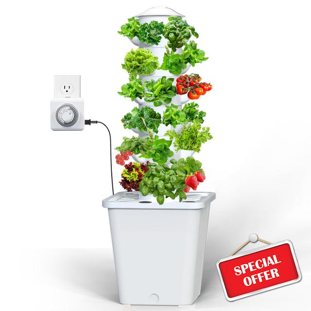 Hydroponics Growing System