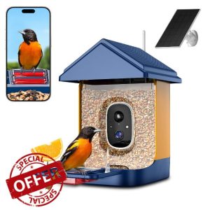 Bird Feeder with Camera with AI Identify