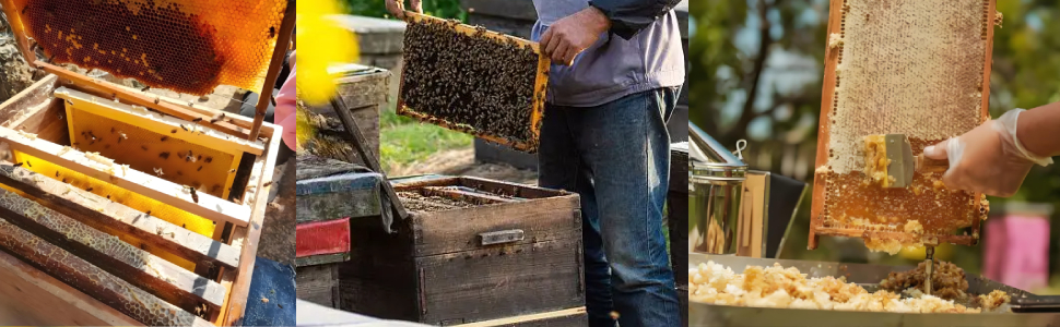 All-in-1 Honey harvester