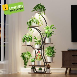 Plant Stand Indoor with Grow Lights - 65" Tall Plant Shelf Indoor