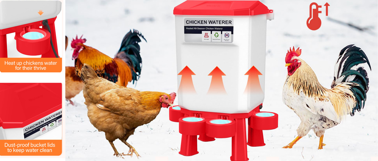 chicken water heater