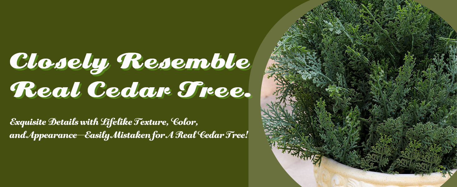 5 ft foot tall plants greenery trees topiary for outside yard garden patio front door porch decor
