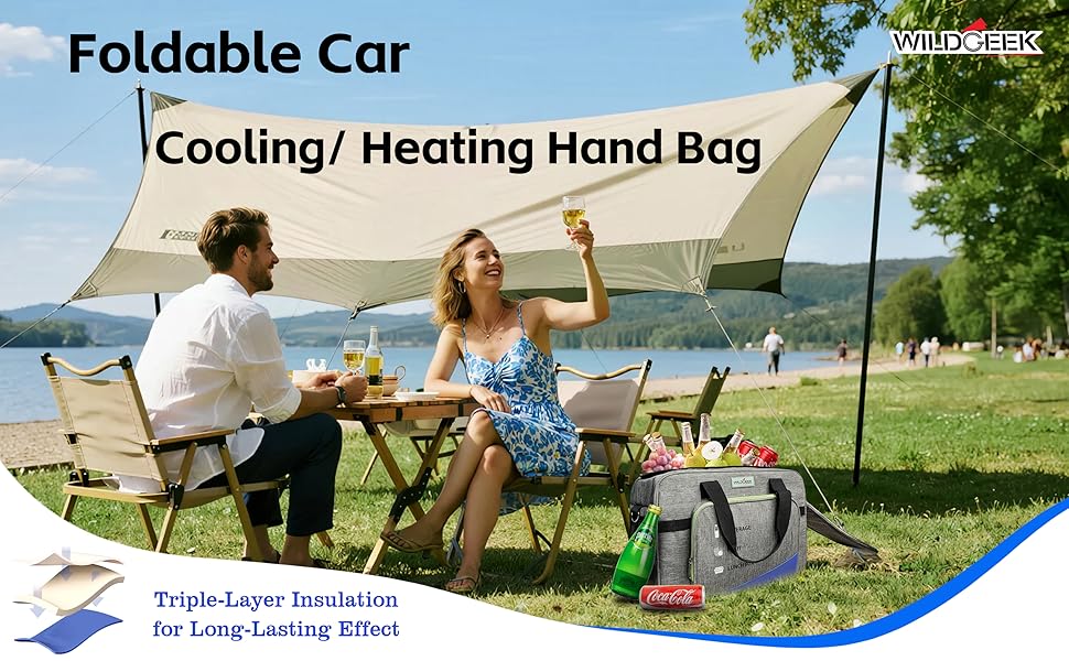 electric cooler bag