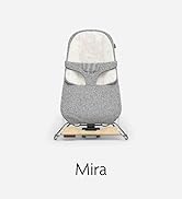 mamaroo smart swing