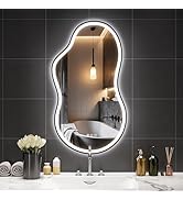 Hasipu Irregular Wall Mirror - 25