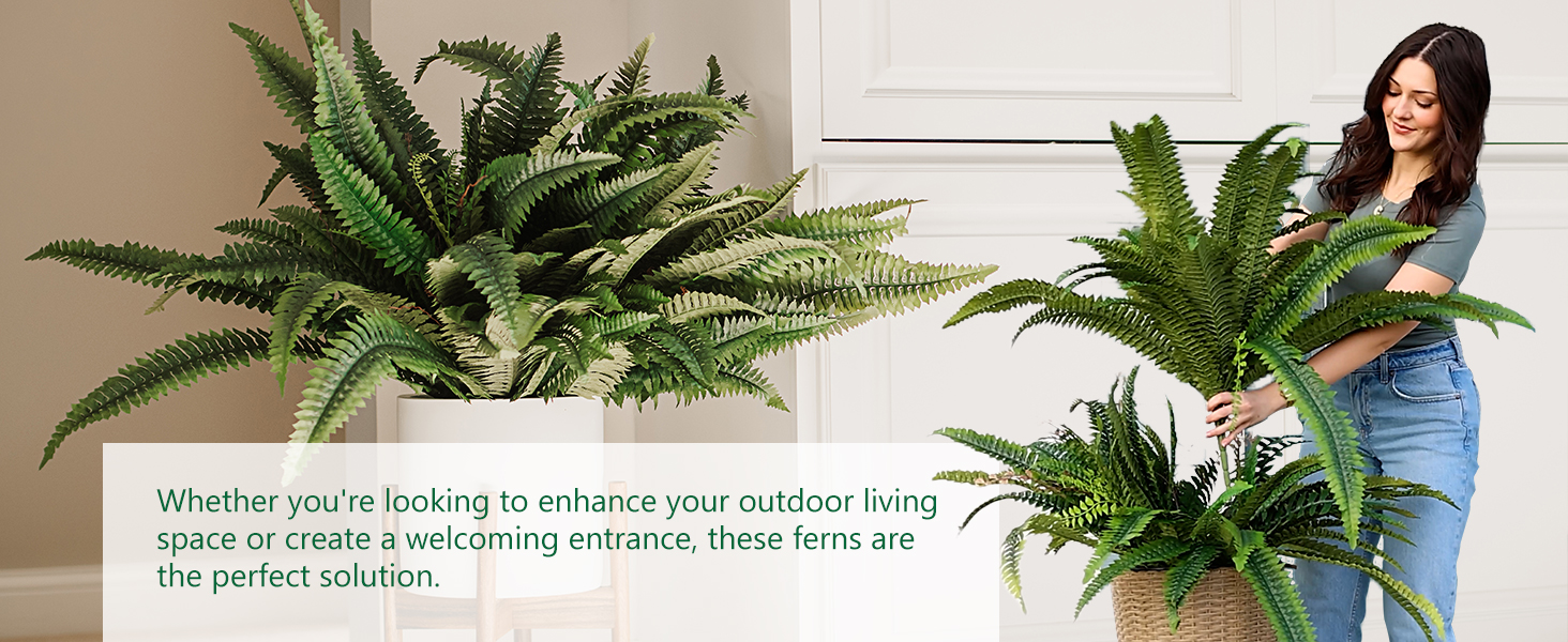 artificial boston ferns