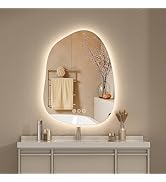 Hasipu Irregular Wall Mirror - 27