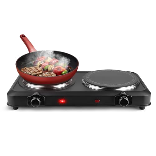 2000W Infrared 2 Burner