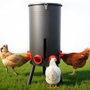 Portable Gravity Chicken Feeder Automatic