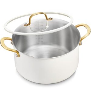 12 Quart Stainless Steel Stock Pot