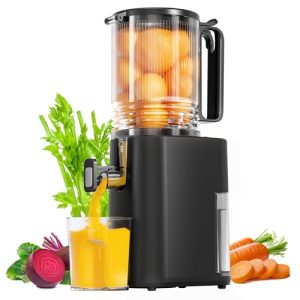 5.5inch Wide Feed Chute Juicer Machine