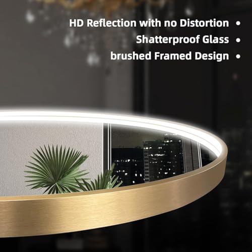 Wall-Mounted Vanity Mirror