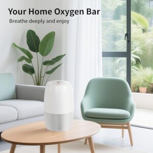 HEPA Filter Captures 99.97% of Smoke