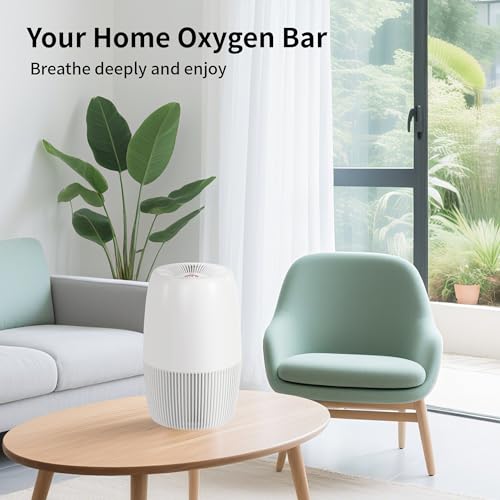 HEPA Filter Captures 99.97% of Smoke