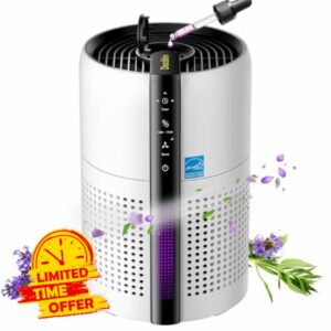 Air Purifier for Bedroom With Reusable True 13 Filter