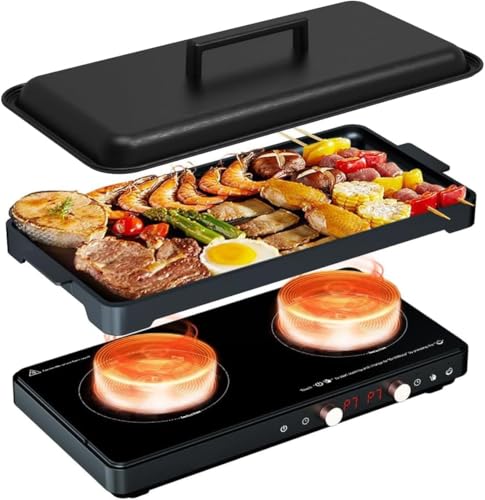2 Burner Electric Stove with Timer & Digital Temperature Control