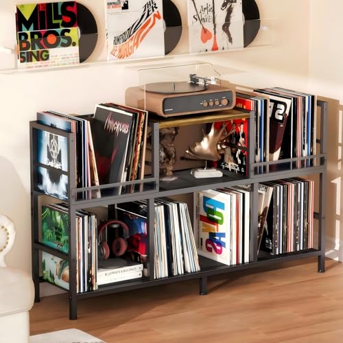 Holds 300+ Albums