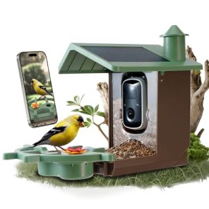 AI Bird ID