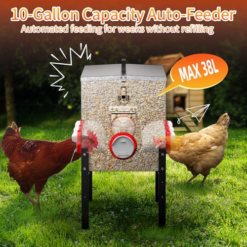 Poultry