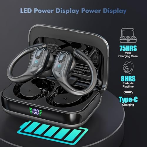 Noise Canceling Ear Buds with 75hr Playtime