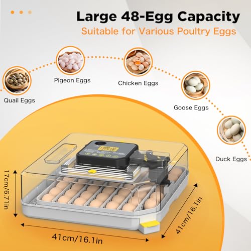 Egg Incubator with Temperature