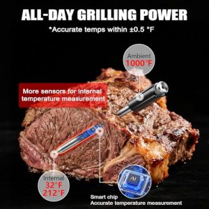 Smart Digital Cooking Thermometer with 2 Ultra-Thin Probes