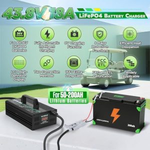 43.8V 18A Fully Automatic Smart Charging with 16FT Cable
