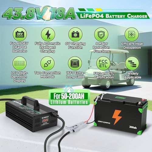 43.8V 18A Fully Automatic Smart Charging with 16FT Cable