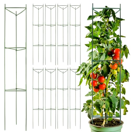 Cucumbers