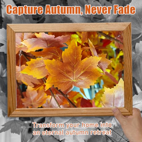 Autumn Decoration for Home Office Party