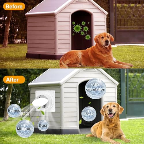 Greenhouse Air Cooling Circulation for Shed
