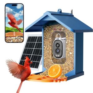 AI Bird Identifier