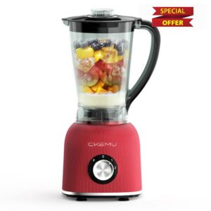 Blender for Smoothies