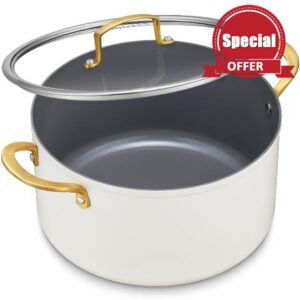 BEZIA 8 Quart Ceramic Stock Pot