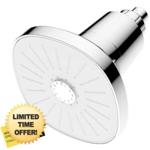 Filtered Shower head