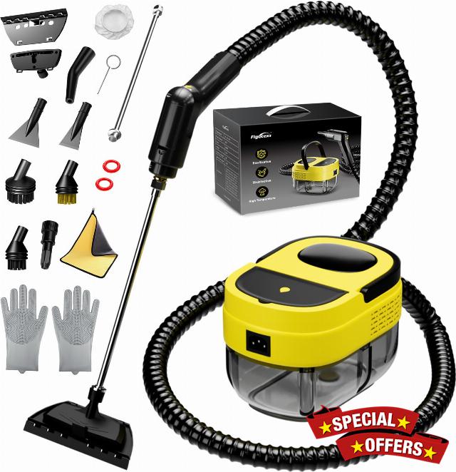 Steam Cleaner