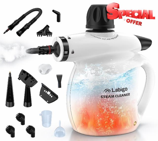 LABIGO Steam Cleaner