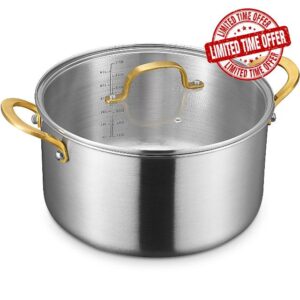 BEZIA 10 Quart Tri-Ply Stainless Steel Stock Pot