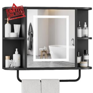 Bathroom Wall Cabinet with Mirror