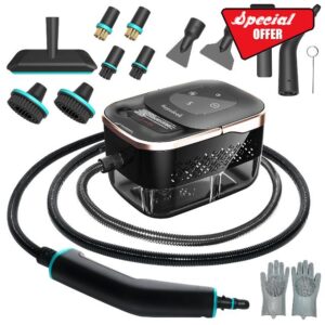 Steam Cleaner