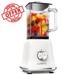 Professional Blender For Smoothies