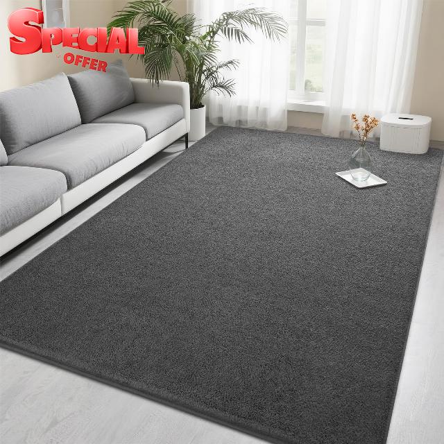 Foxmas 5x7 Area Rugs for Bedroom Living Room