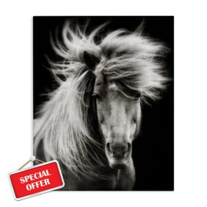 Stupell Industries Windblown Mane Horse on Black Canvas Wall Art Design by PHBurchett