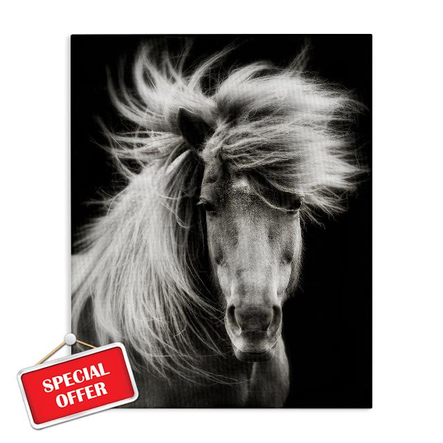 Stupell Industries Windblown Mane Horse on Black Canvas Wall Art Design by PHBurchett