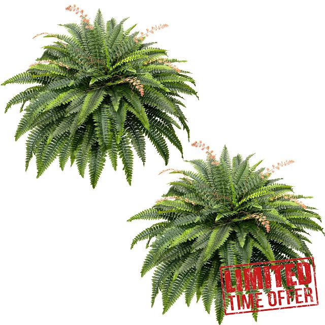 CQURE 50" Large Fake Fern Artificial Ferns for Outdoors