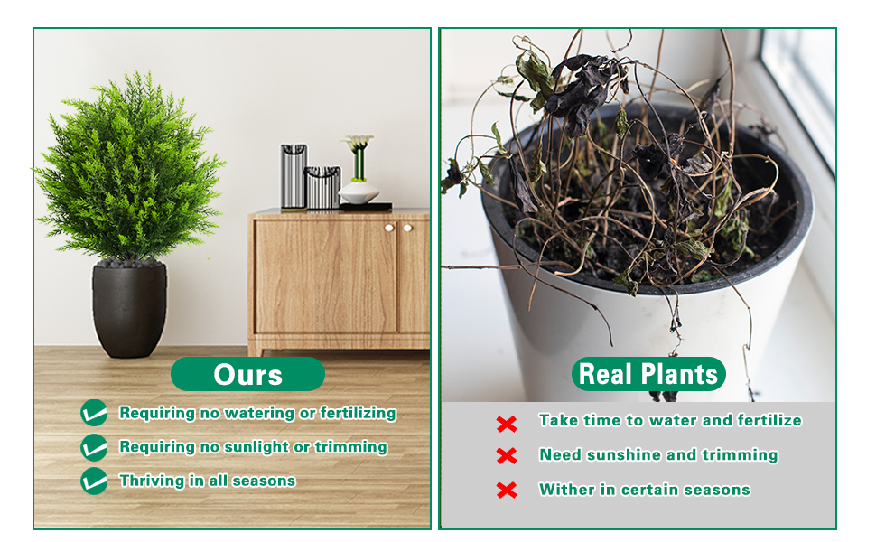 artificial plants