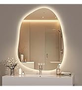Hasipu Irregular Wall Mirror - 25