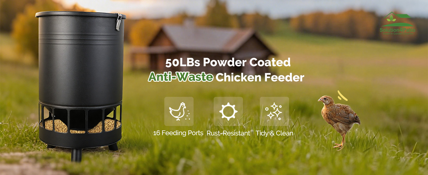 chicken feeder