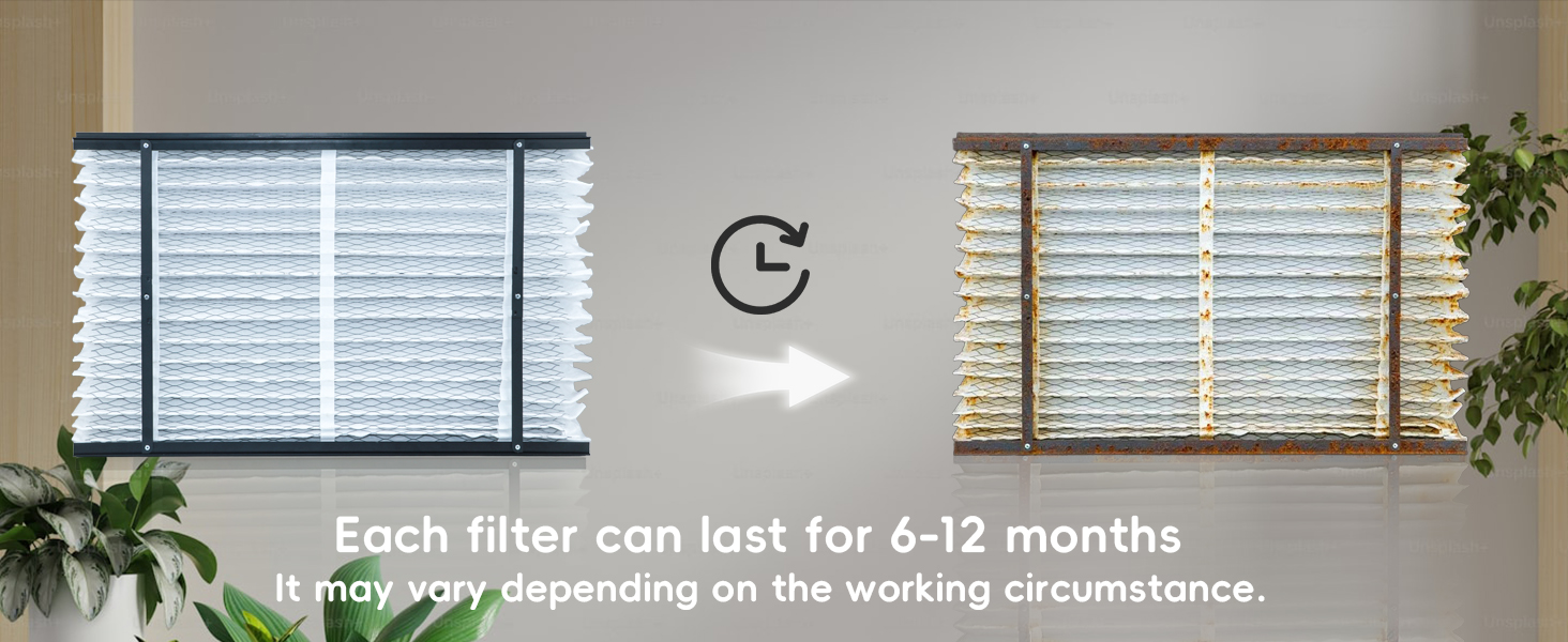 2 Pack 210 Replacement Filter