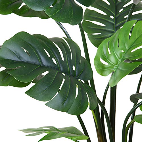 11 Leaves